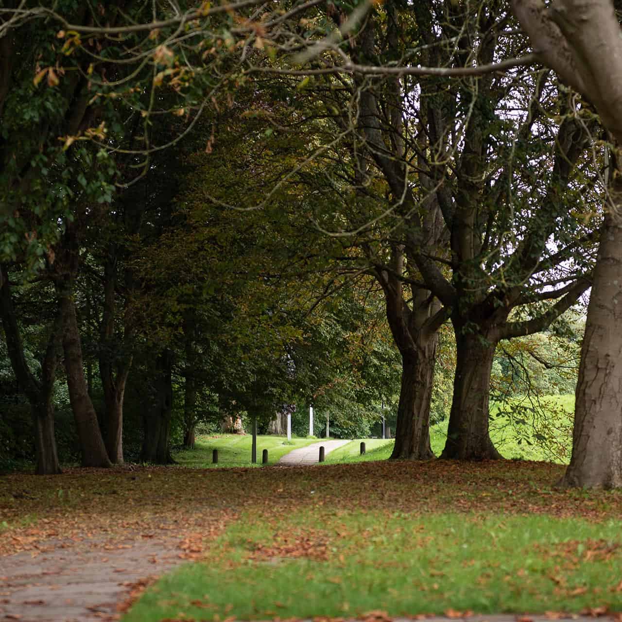 Bishop Otter Campus