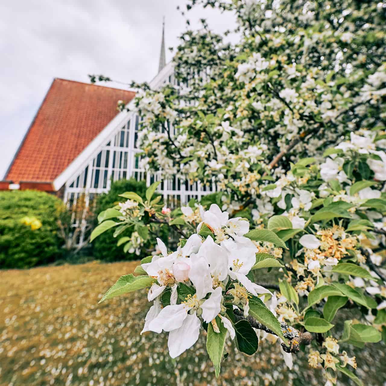 University Chapel at Bishop Otter Campus