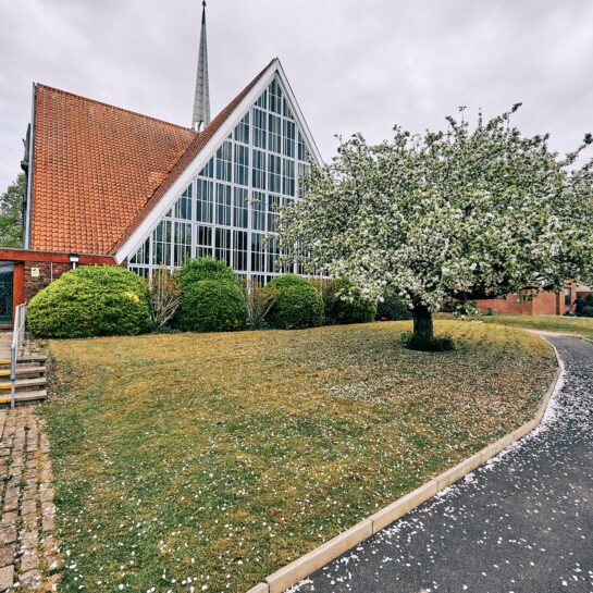 Chapel and Apple Tree Bishop Otter Campus