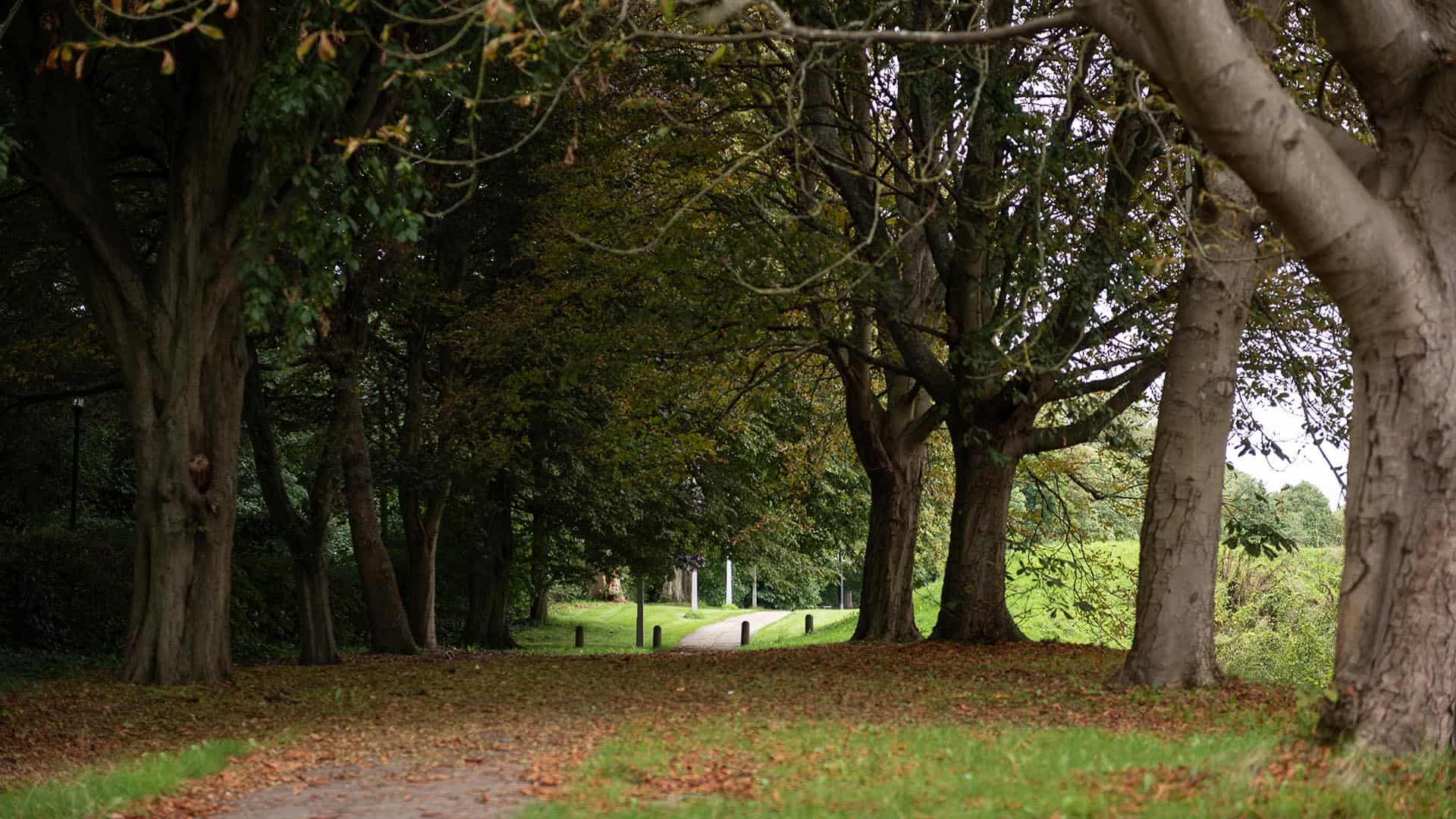 Bishop Otter Campus