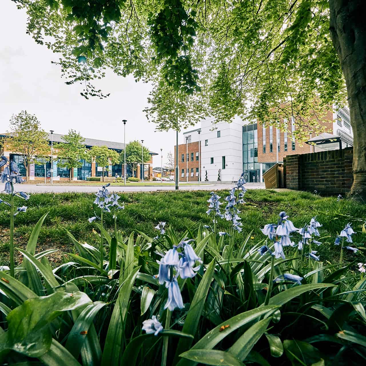 Bishop Otter Campus