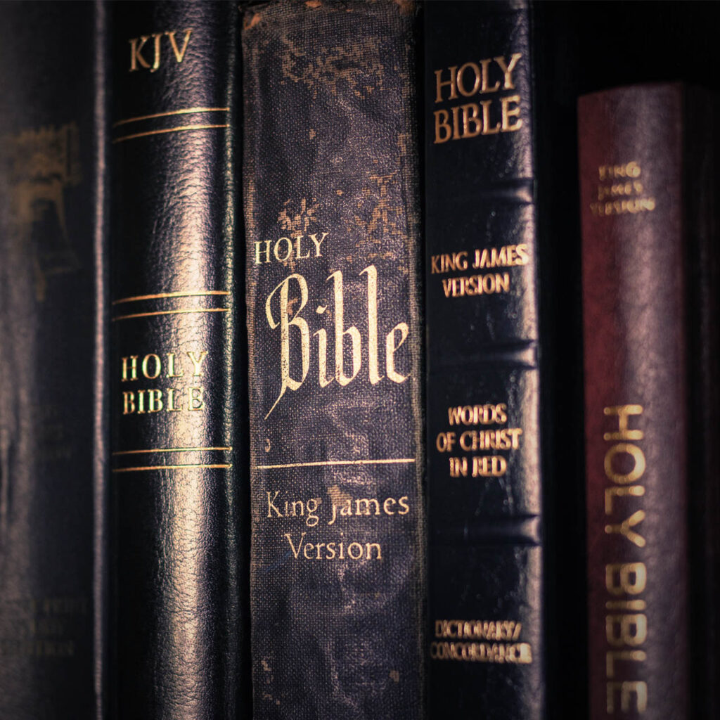 A row of Bibles on a shelf