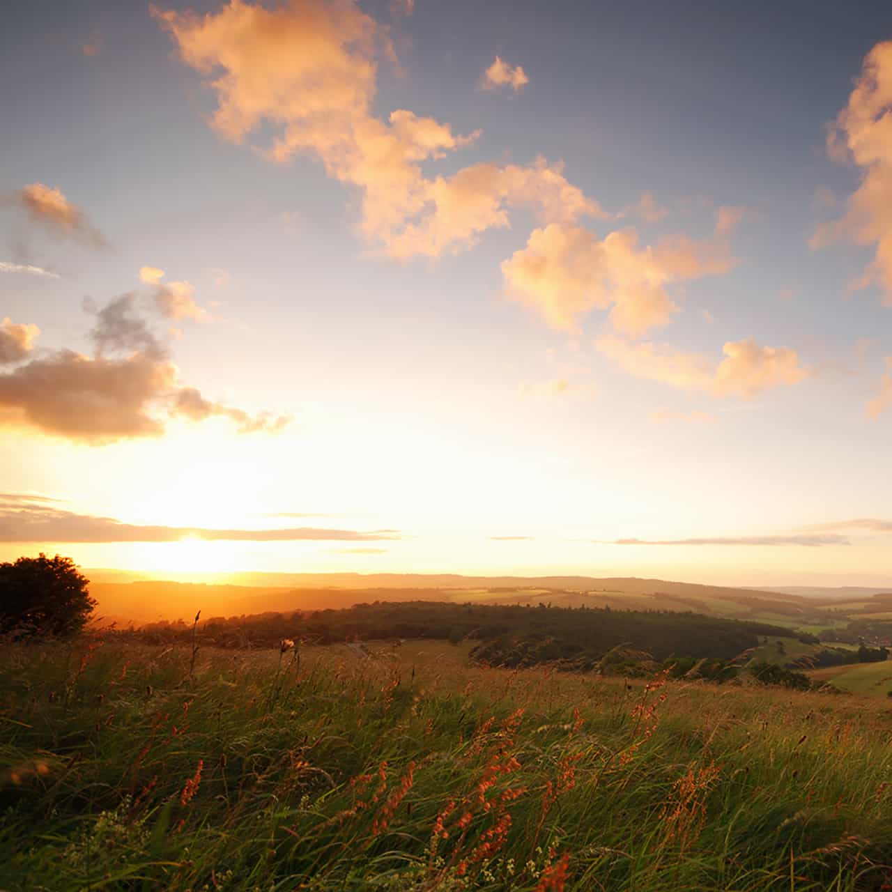 Goodwood at sunset