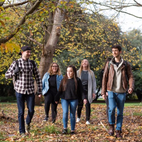 Students walking through trees