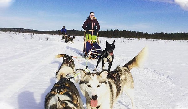 Student with huskies in the snow