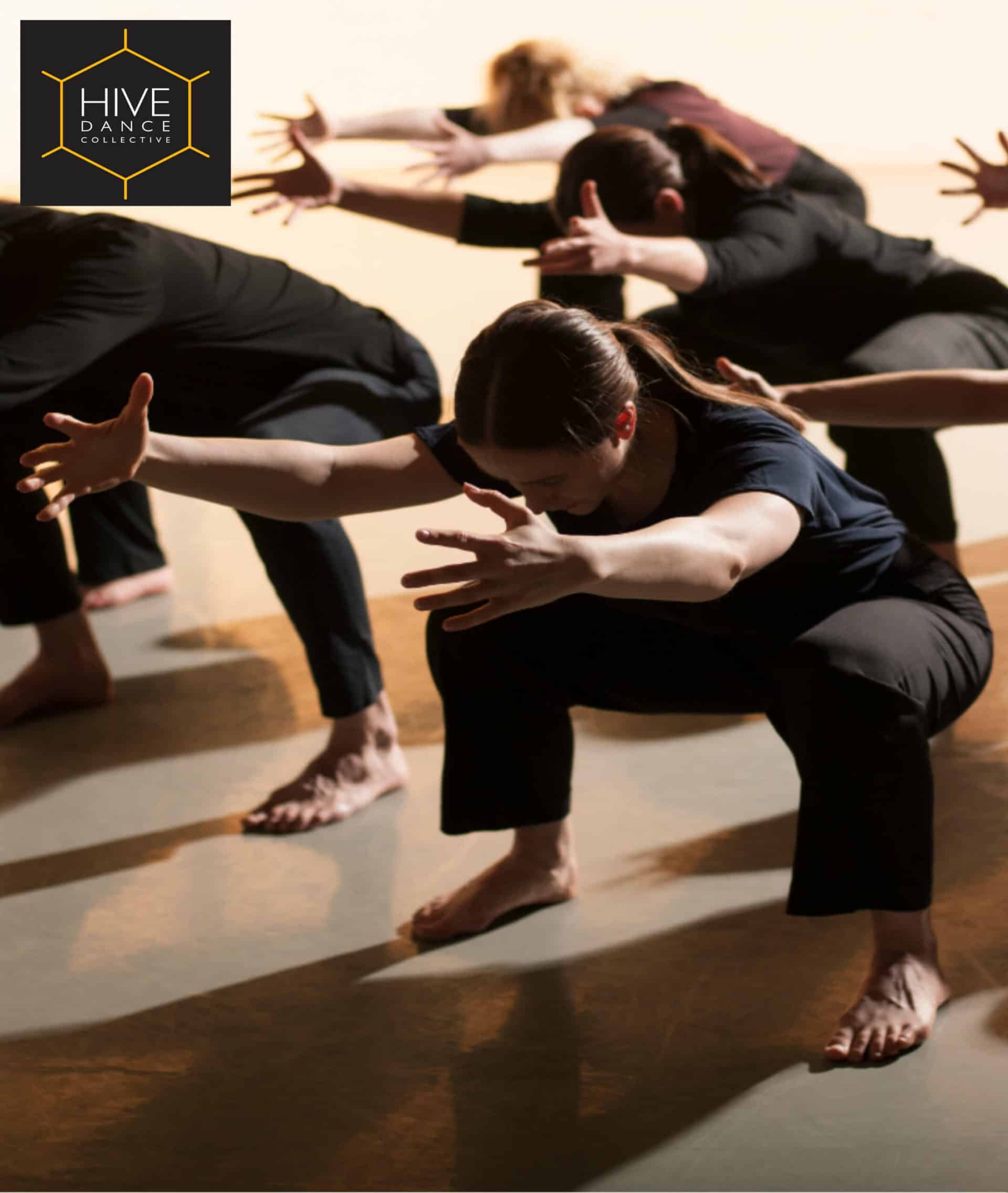 Hive Hive dance company