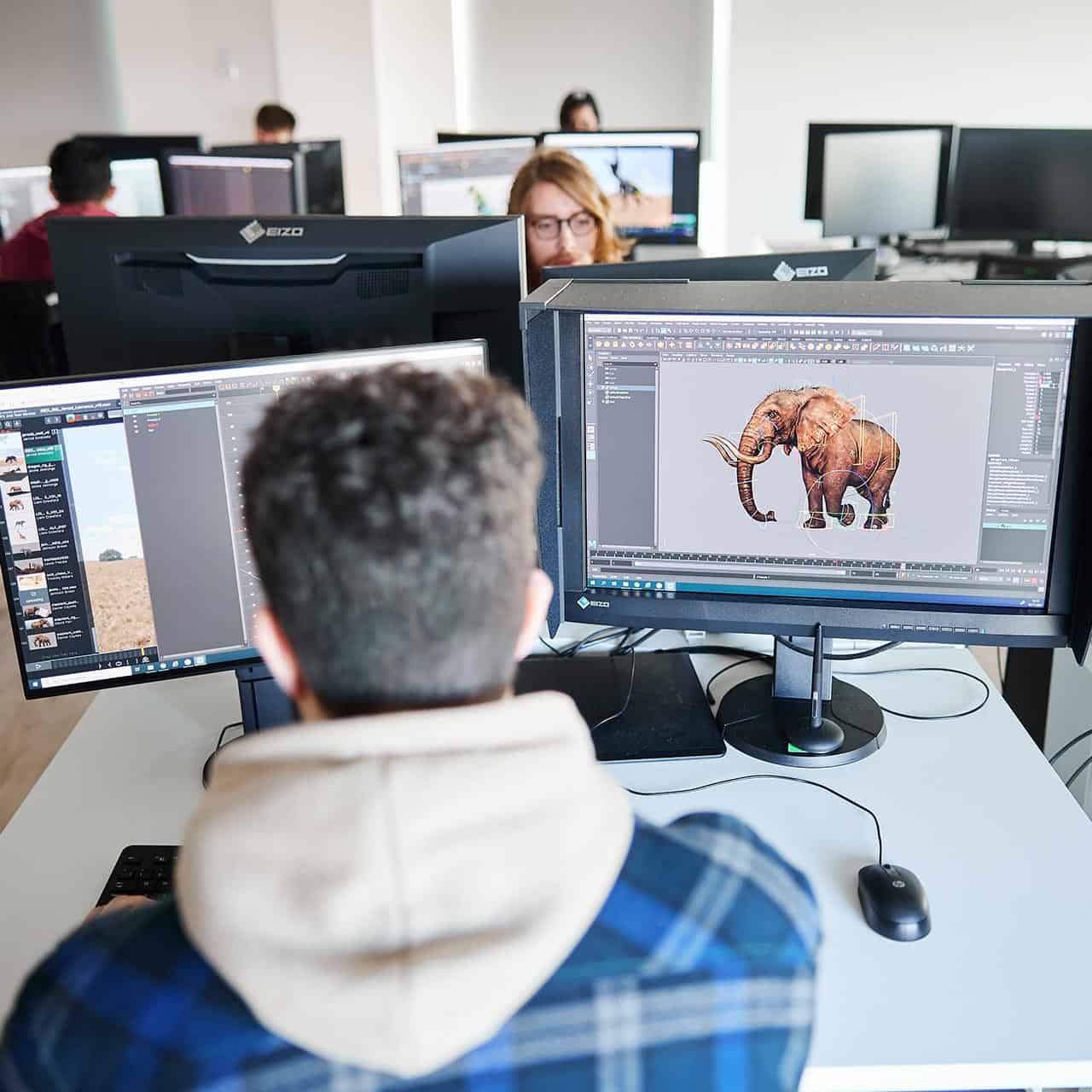 3d animation student making a 3d elephant on their computer