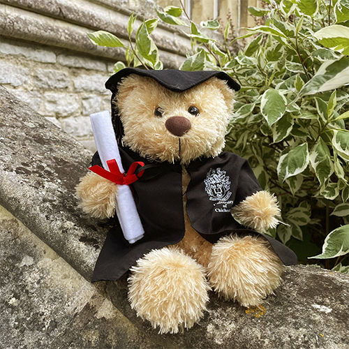 BEAR Copy Graduation teddy bear