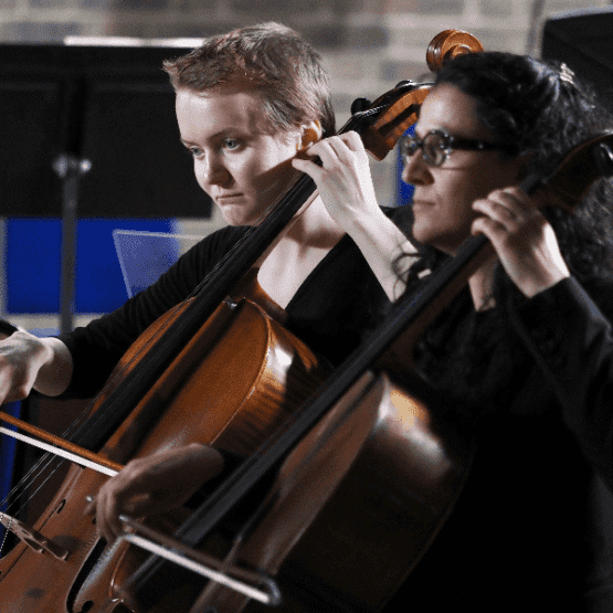 The SNAIL Ensemble The SNAIL Ensemble