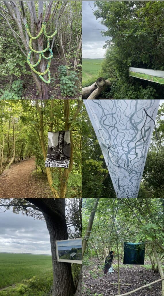 Maybush Copse arts trail