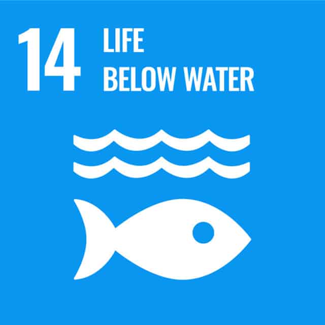 Goal 14 Life Below Water Goal 14 - Life Below Water