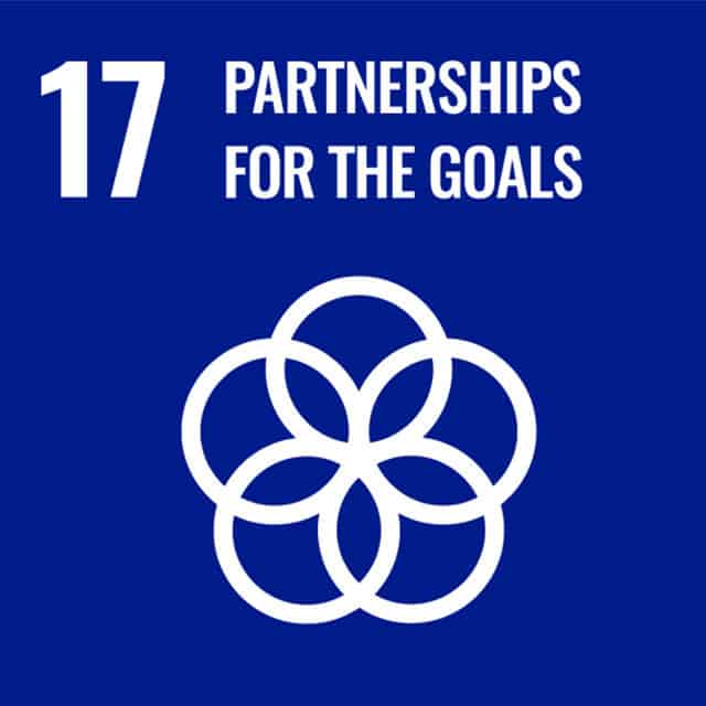 Goal 17 Partnerships For The Goals Goal 17 - Partnerships for the Goals