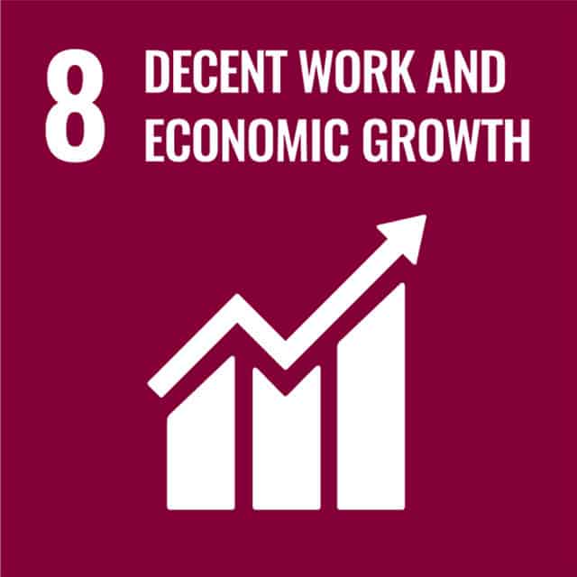 Goal 8 - Decent Work and Economic Growth