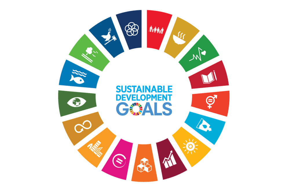Sustainable Development Goals UN Sustainable Development Goals logo