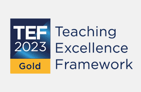Chi Uni TEF Gold 290x190