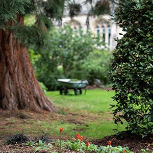 Cloisters garden