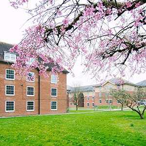 Longbrook accommodation BRC