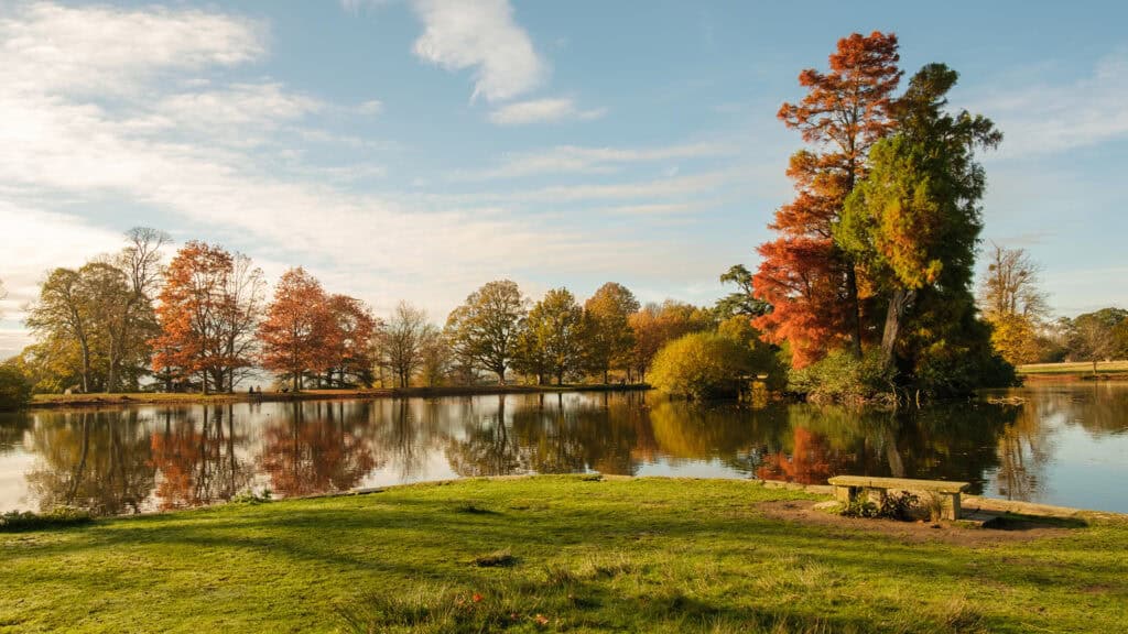 Petworth Park