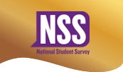 NSS Web Accolade