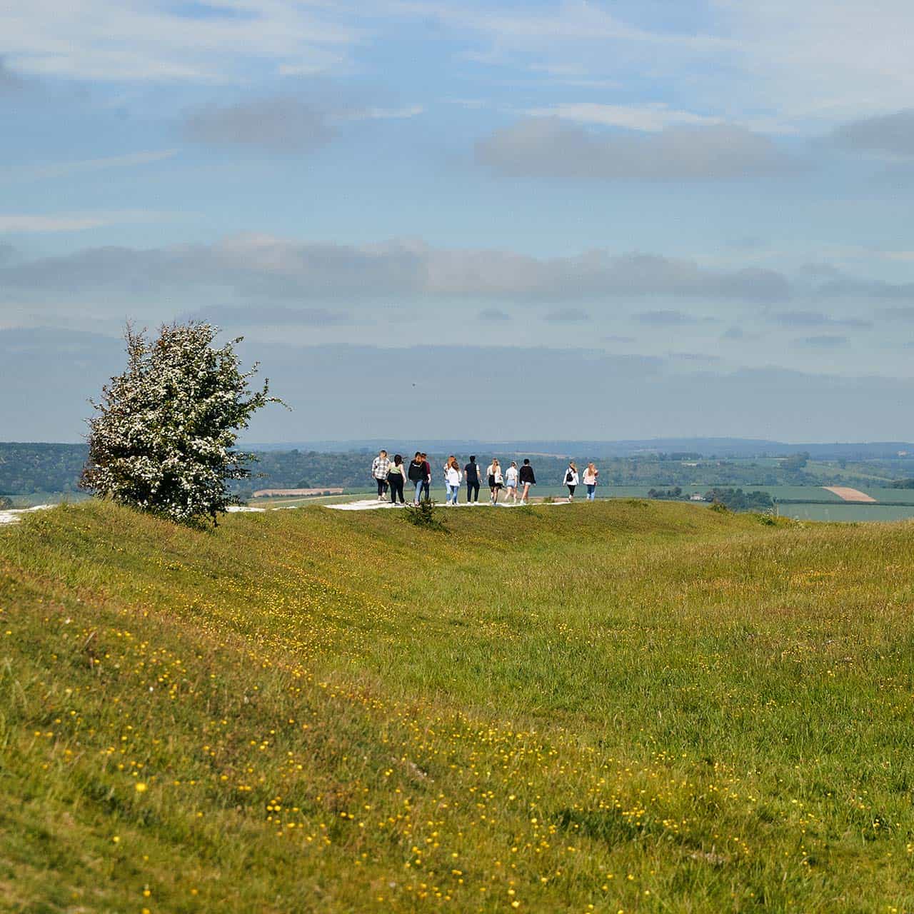 students on a field in goodwood