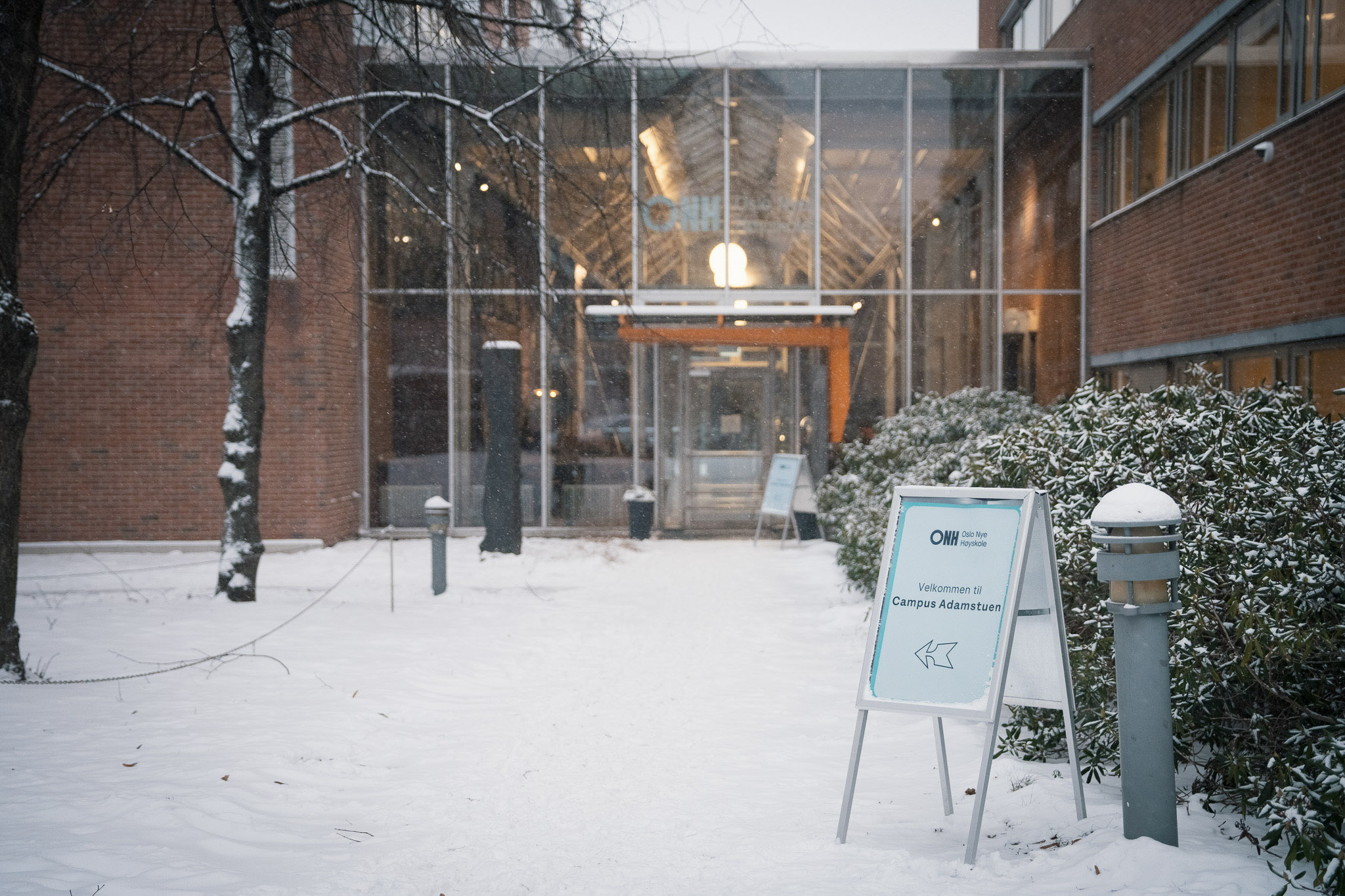Oslo New University College